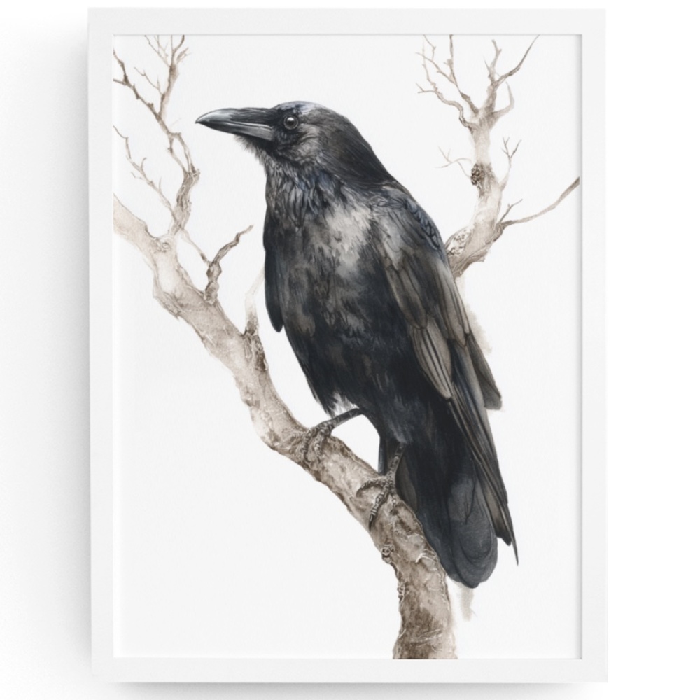 Watercolor Black Crow Wall Art Print Unframed - Black Bird Illustration Artwork